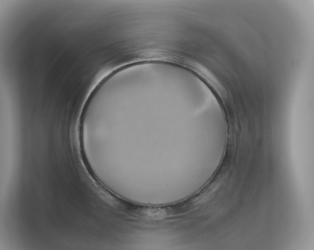 X0000111351291200907310944