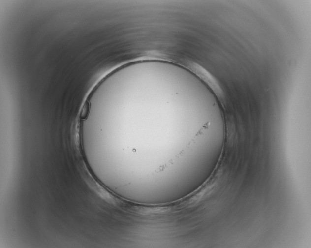 X0000111351292200907310944