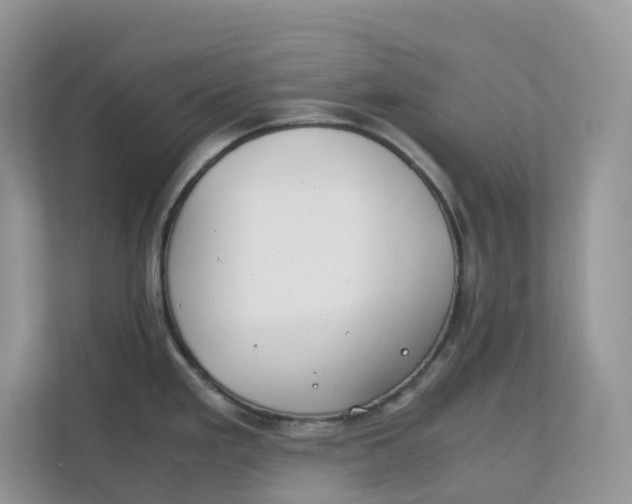 X0000111351293200907310944