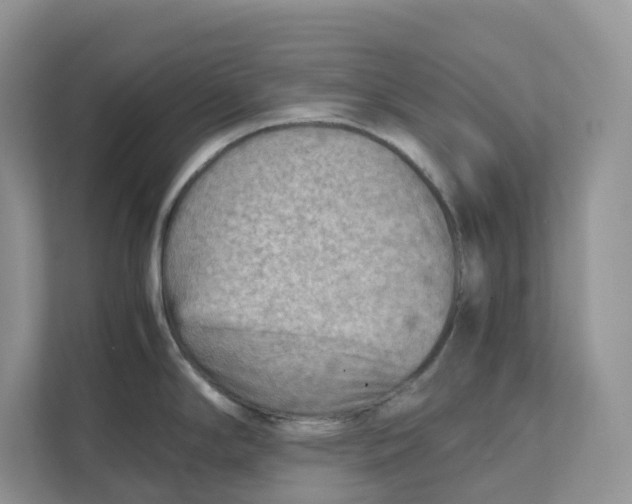 X0000111351294200907310944