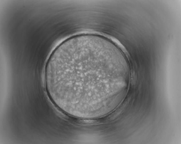 X0000111351295200907310944