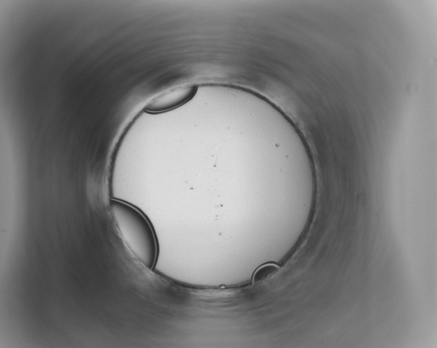 X0000111351296200907310944