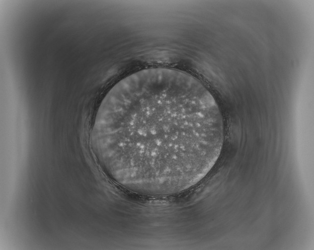 X0000111351297200907310944