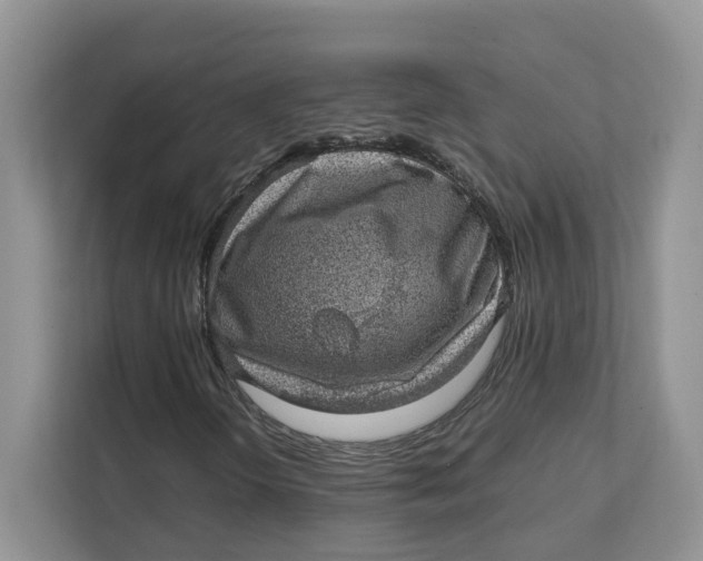 X0000111351298200907310944