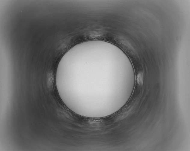 X0000111351299200907310944