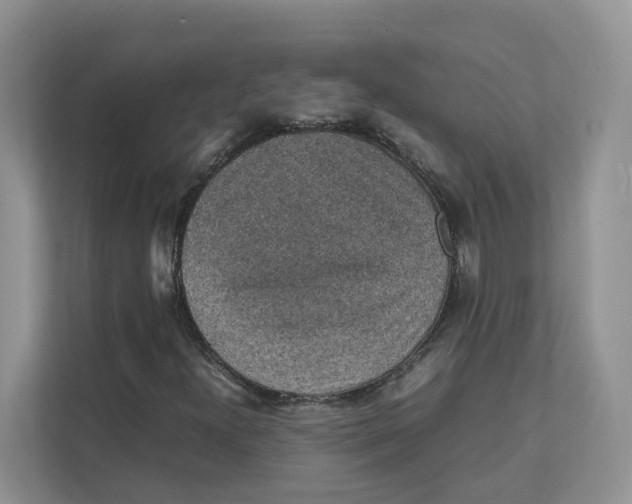 X0000111351300200907310944