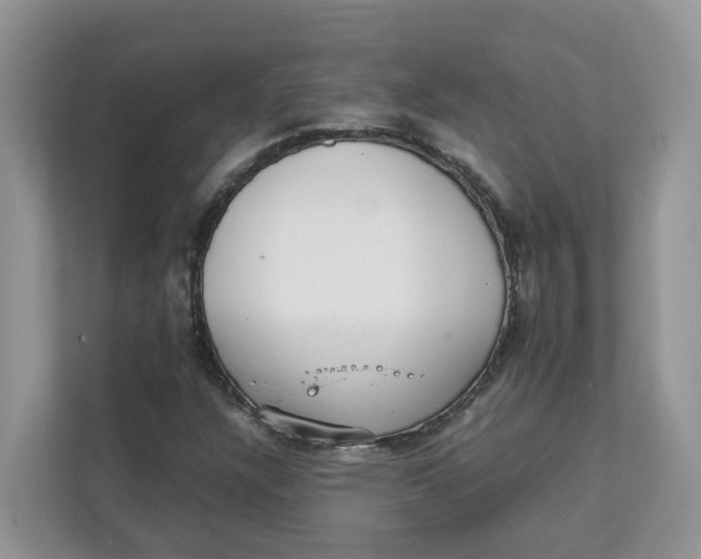 X0000111351304200907310944