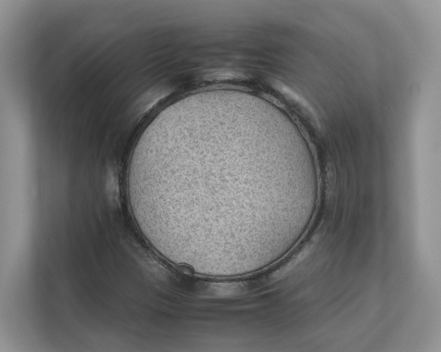 X0000111351305200907310944