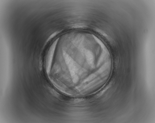 X0000111351306200907310944