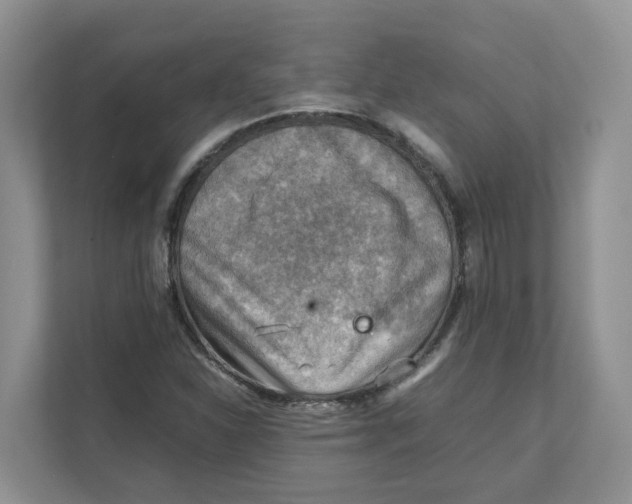 X0000111351310200907310944