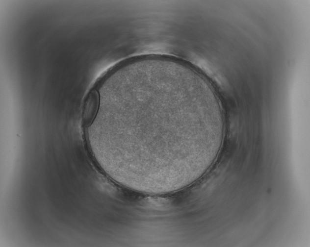 X0000111351312200907310944