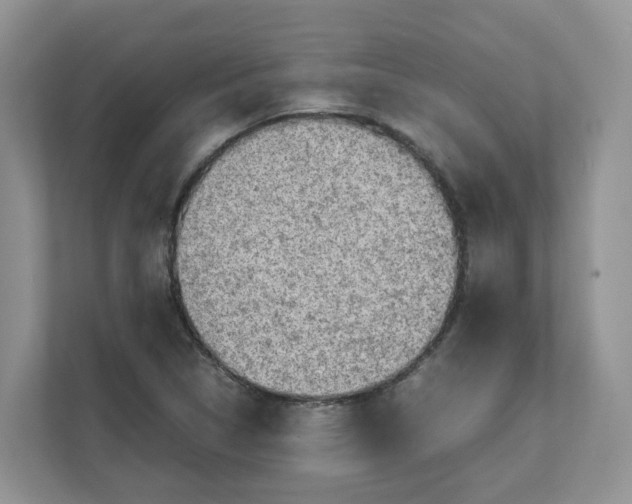 X0000111351314200907310944