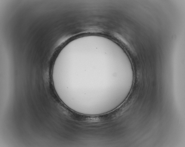 X0000111351315200907310944