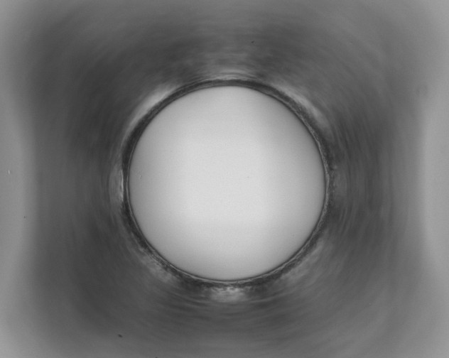 X0000111351317200907310944