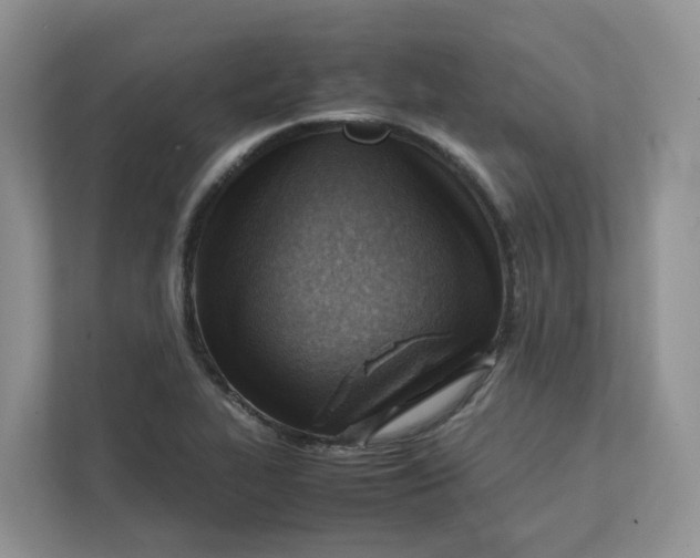 X0000111351319200907310944