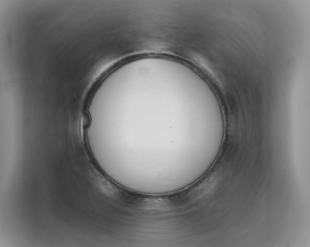 X0000111351320200907310944