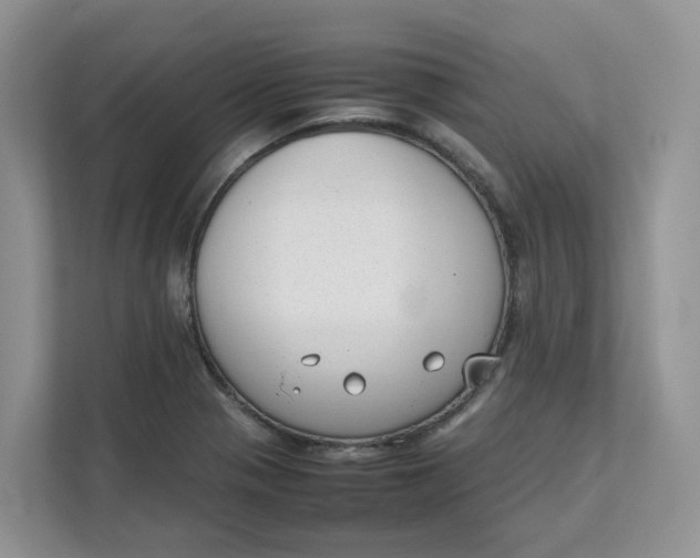 X0000111351321200907310944