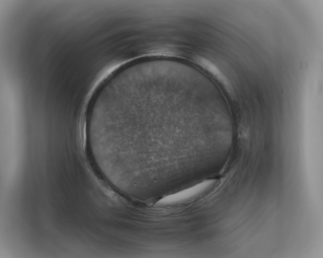 X0000111351323200907310944