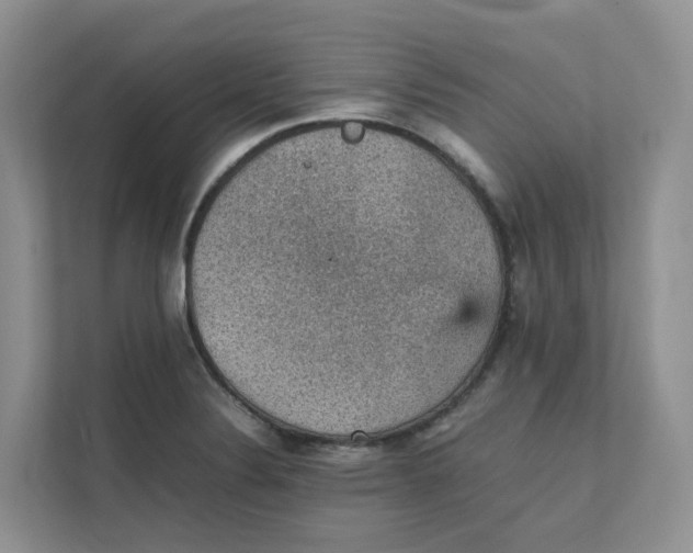 X0000111351324200907310944