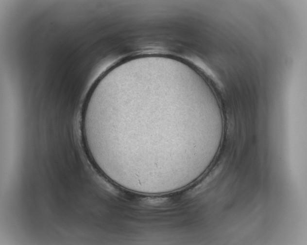 X0000111351325200907310944