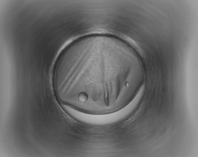 X0000111351326200907310944