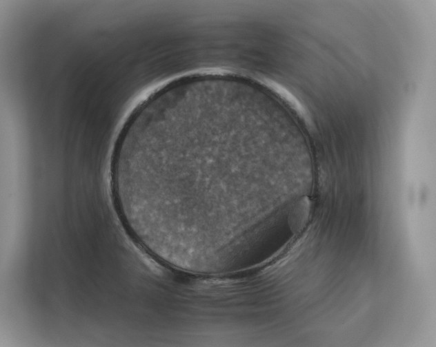 X0000111351327200907310944