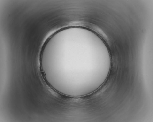 X0000111351328200907310944