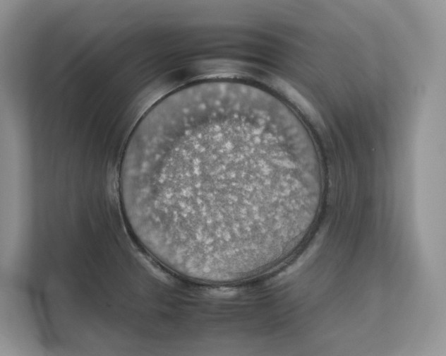 X0000111351329200907310944