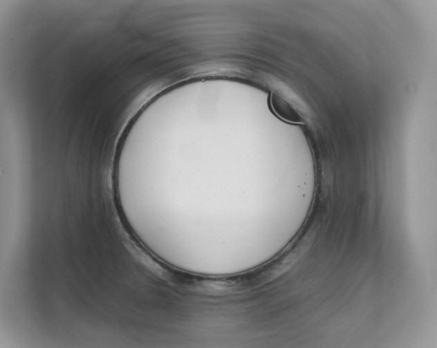 X0000111351330200907310944