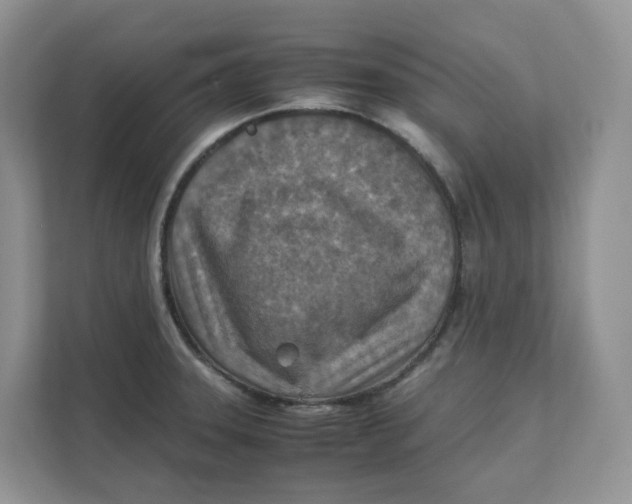 X0000111351331200907310944