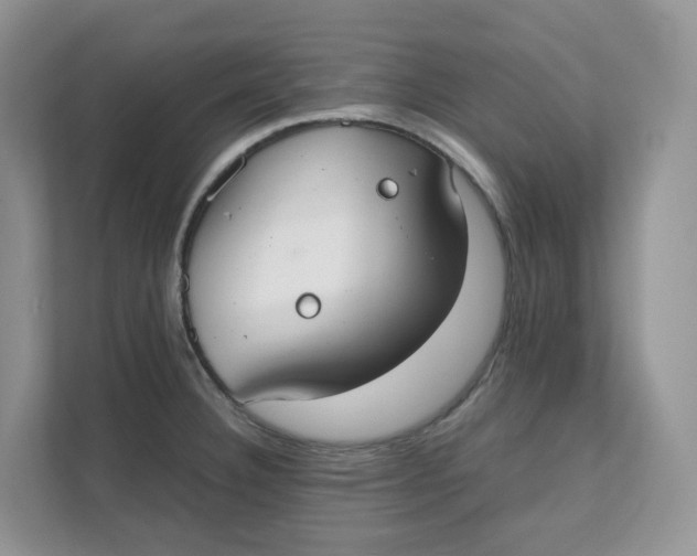 X0000111351332200907310944