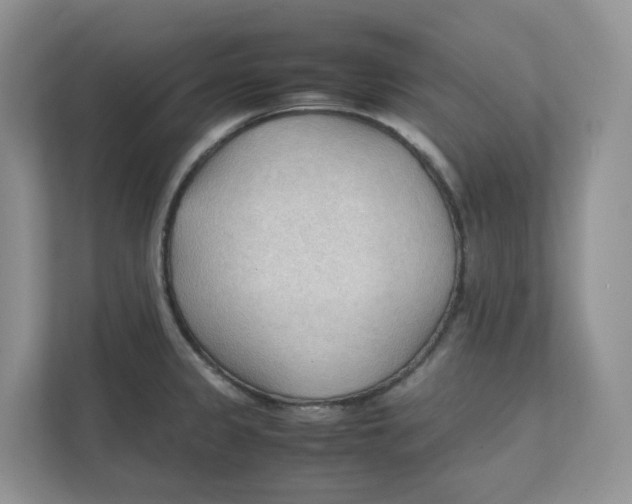 X0000111351333200907310944