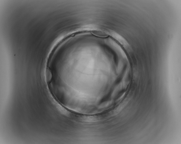 X0000111351334200907310944