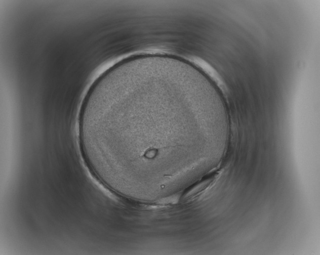 X0000111351335200907310944