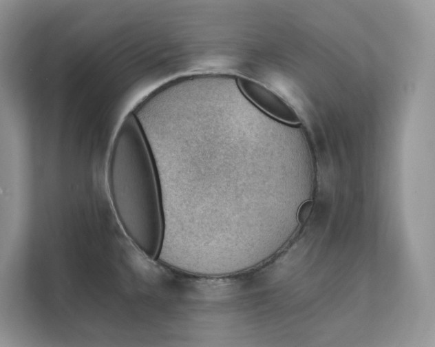 X0000111351336200907310944