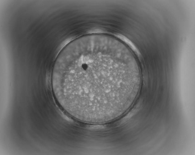 X0000111351337200907310944