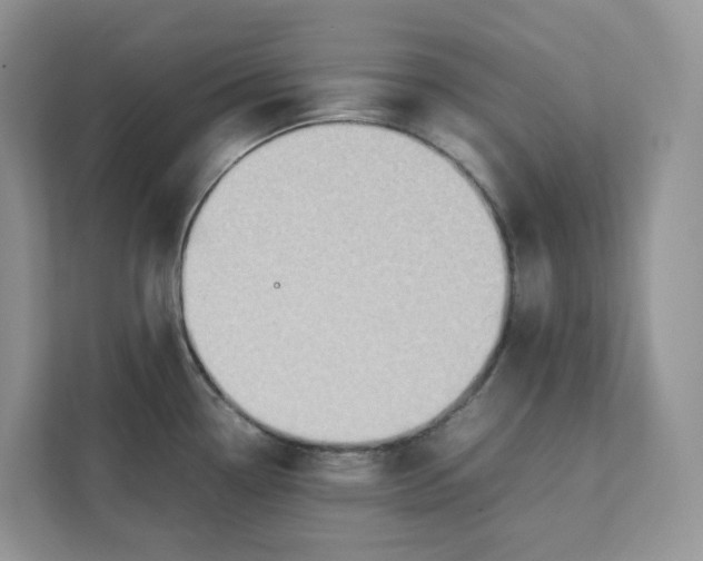 X0000111351338200907310944