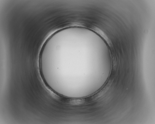 X0000111351339200907310944