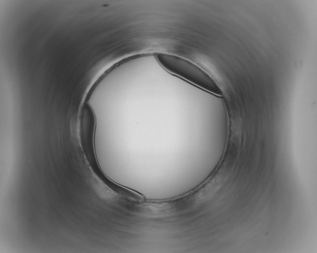 X0000111351340200907310944