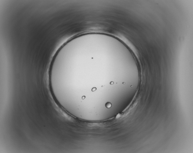 X0000111351341200907310944