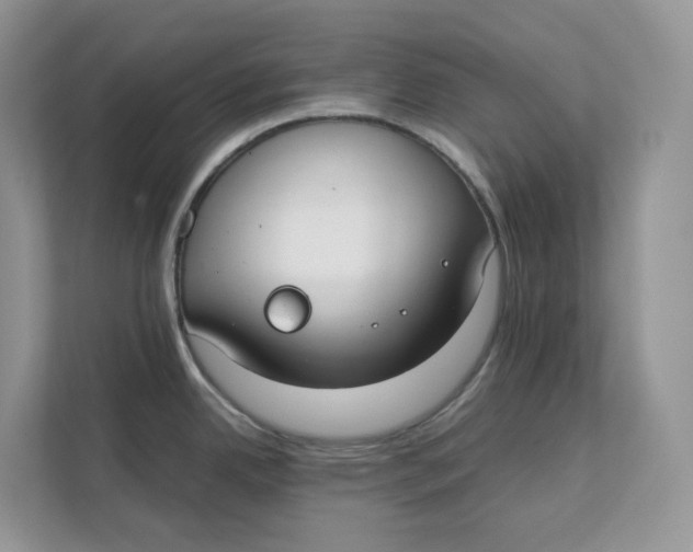 X0000111351342200907310944