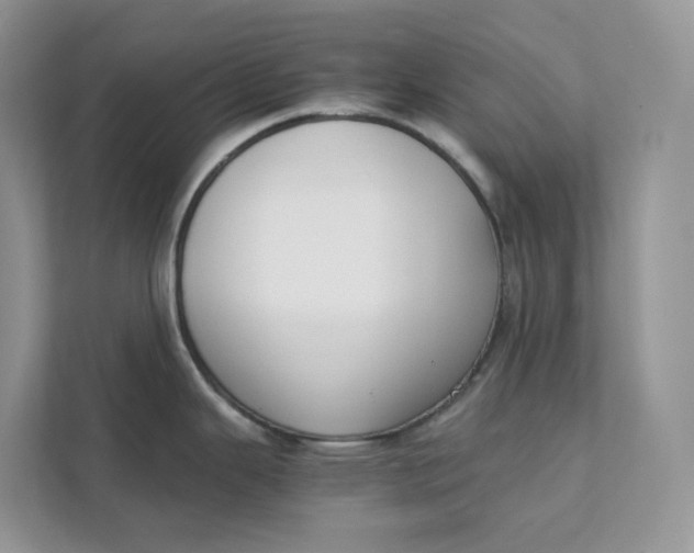 X0000111351343200907310944