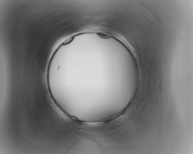 X0000111351344200907310944