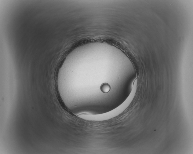 X0000111351345200907310944