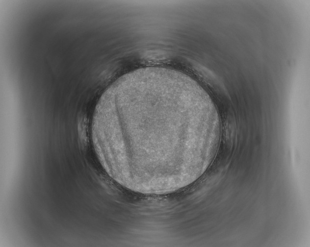 X0000111351346200907310944