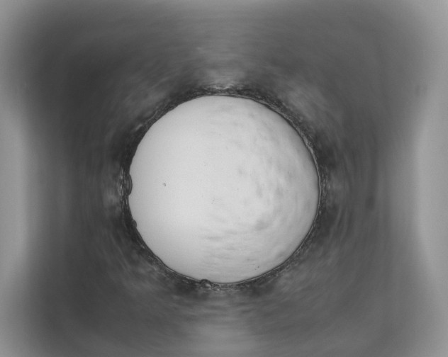 X0000111351349200907310944