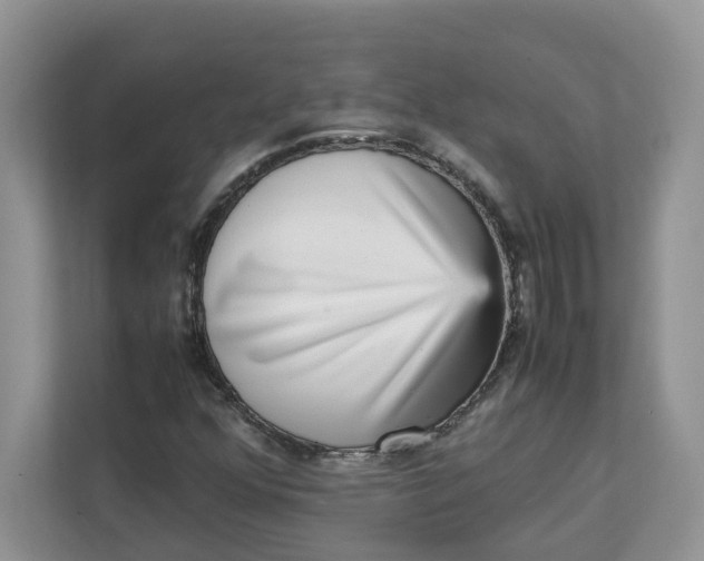 X0000111351352200907310944