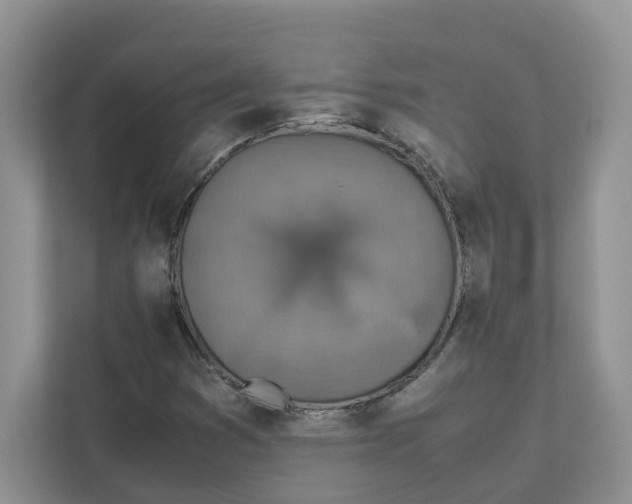 X0000111351353200907310943