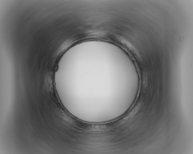 X0000111351354200907310943