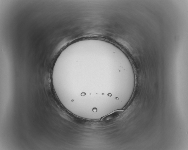 X0000111351355200907310943